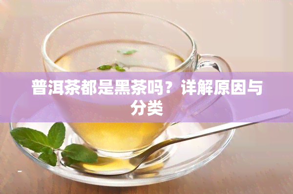 普洱茶都是黑茶吗？详解原因与分类