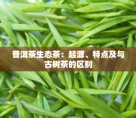 普洱茶生态茶：起源、特点及与古树茶的区别