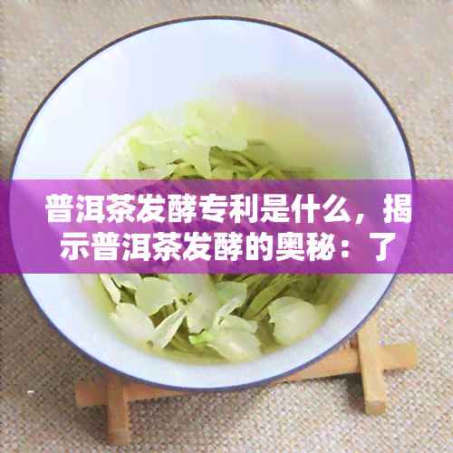 普洱茶发酵专利是什么，揭示普洱茶发酵的奥秘：了解其背后的专利技术