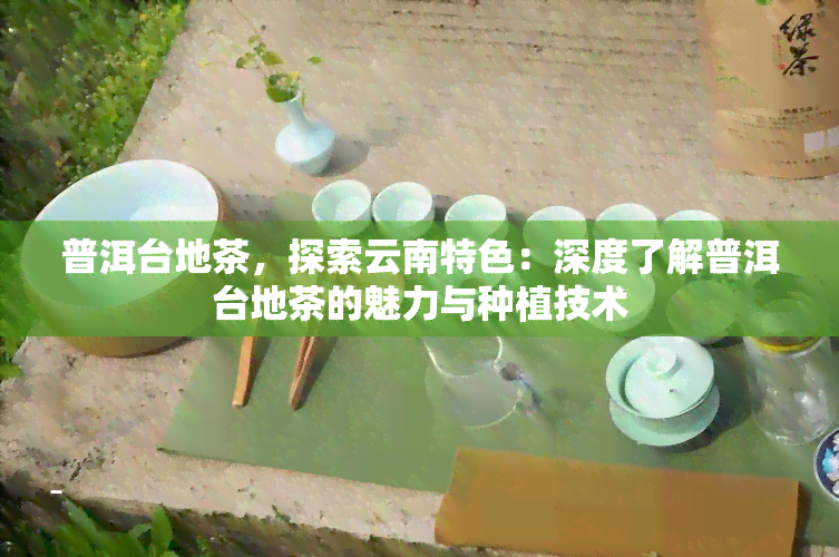 普洱台地茶，探索云南特色：深度了解普洱台地茶的魅力与种植技术