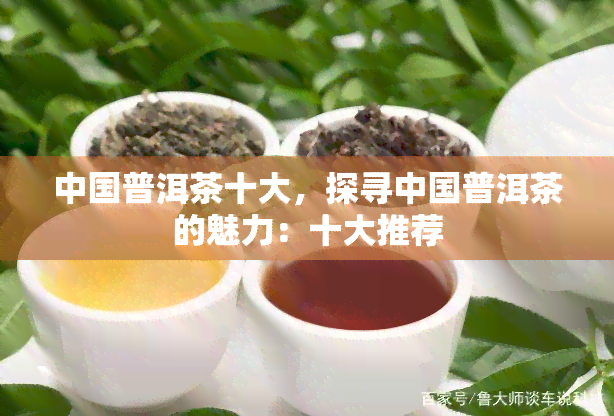 中国普洱茶十大，探寻中国普洱茶的魅力：十大推荐