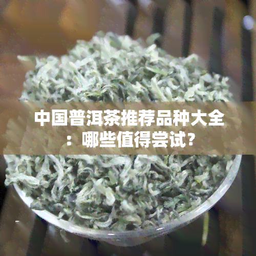 中国普洱茶推荐品种大全：哪些值得尝试？