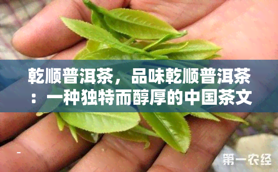 乾顺普洱茶，品味乾顺普洱茶：一种独特而醇厚的中国茶文化体验