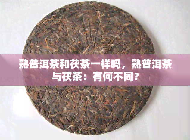 熟普洱茶和茯茶一样吗，熟普洱茶与茯茶：有何不同？