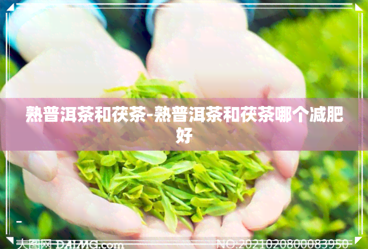 熟普洱茶和茯茶-熟普洱茶和茯茶哪个减肥好