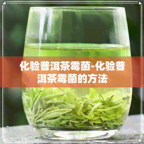 化验普洱茶霉菌-化验普洱茶霉菌的方法