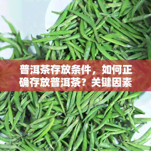 普洱茶存放条件，如何正确存放普洱茶？关键因素大揭秘！