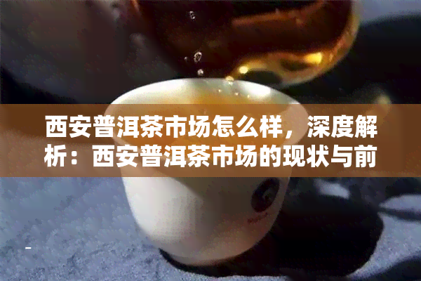 西安普洱茶市场怎么样，深度解析：西安普洱茶市场的现状与前景