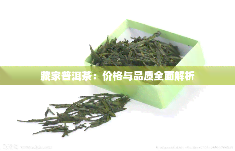 藏家普洱茶：价格与品质全面解析