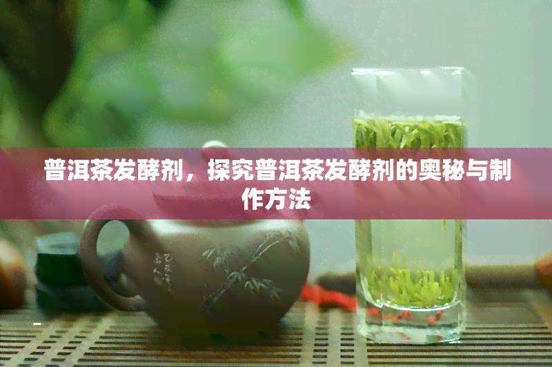 普洱茶发酵剂，探究普洱茶发酵剂的奥秘与制作方法