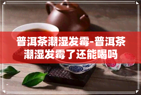 普洱茶潮湿发霉-普洱茶潮湿发霉了还能喝吗