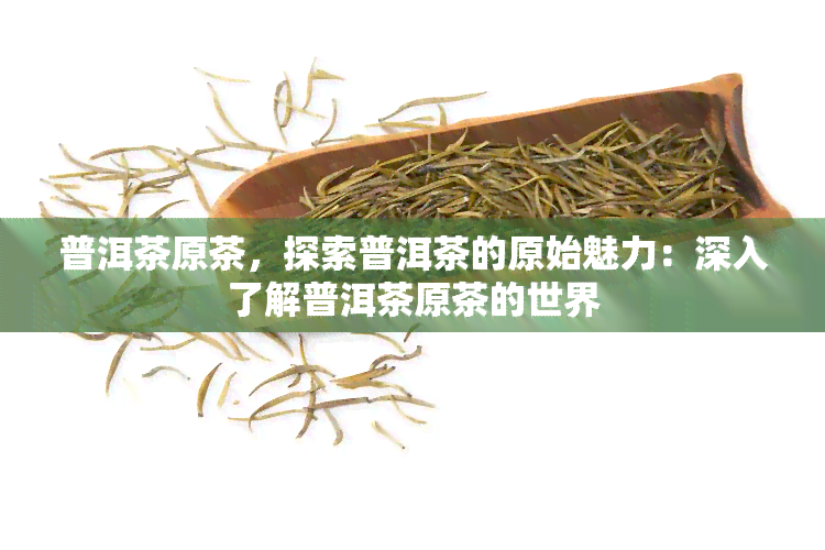 普洱茶原茶，探索普洱茶的原始魅力：深入了解普洱茶原茶的世界