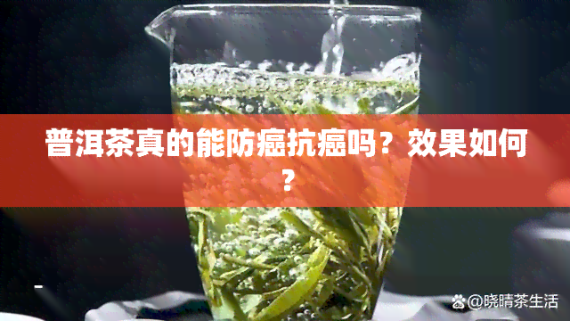 普洱茶真的能防癌抗癌吗？效果如何？