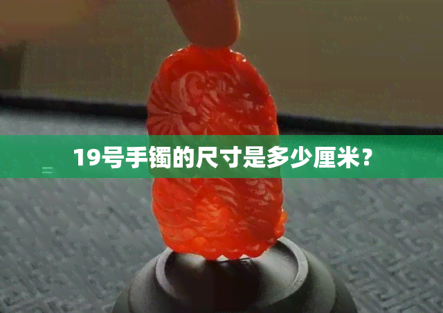 19号手镯的尺寸是多少厘米？