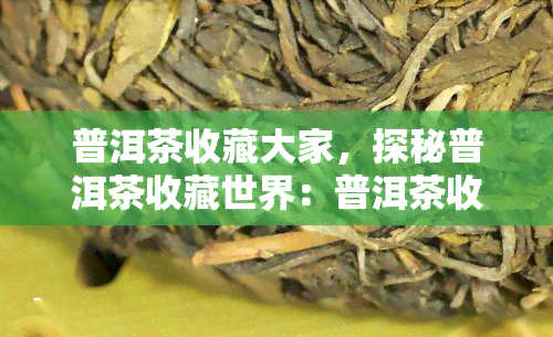 普洱茶收藏大家，探秘普洱茶收藏世界：普洱茶收藏大家的故事与心得