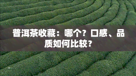 普洱茶收藏：哪个？口感、品质如何比较？