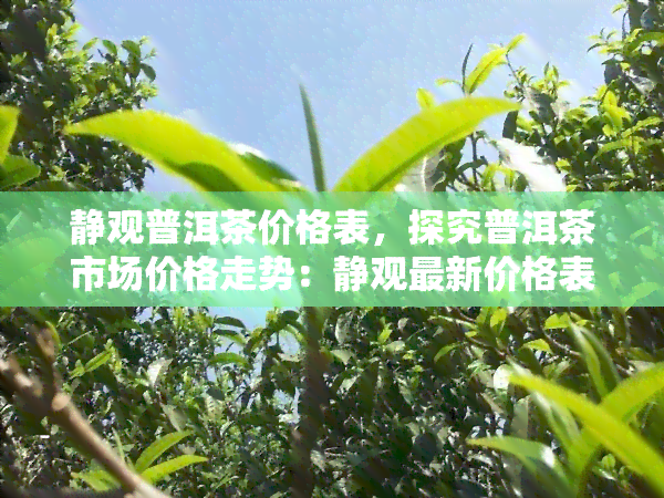 静观普洱茶价格表，探究普洱茶市场价格走势：静观最新价格表