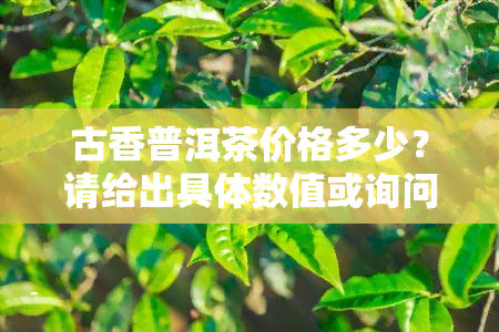 古香普洱茶价格多少？请给出具体数值或询问每斤价格