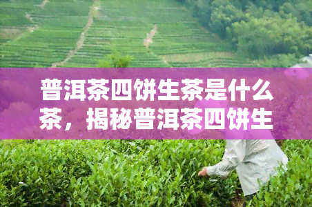 普洱茶四饼生茶是什么茶，揭秘普洱茶四饼生茶：它是什么茶？