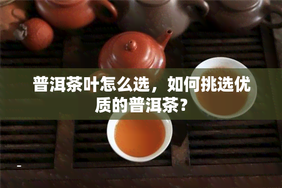 普洱茶叶怎么选，如何挑选优质的普洱茶？