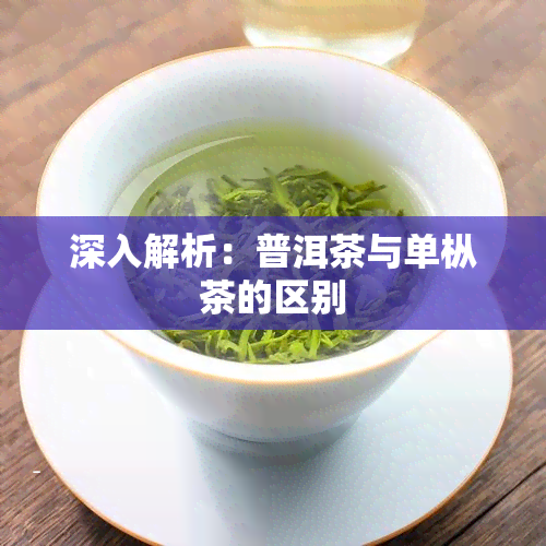 深入解析：普洱茶与单枞茶的区别