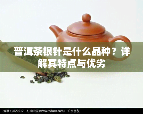 普洱茶银针是什么品种？详解其特点与优劣