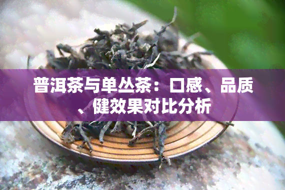 普洱茶与单丛茶：口感、品质、健效果对比分析