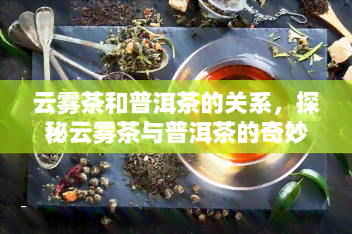 云雾茶和普洱茶的关系，探秘云雾茶与普洱茶的奇妙关系