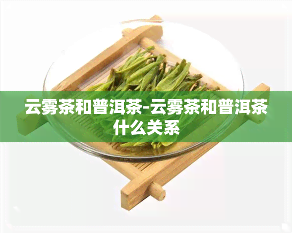 云雾茶和普洱茶-云雾茶和普洱茶什么关系