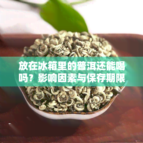 放在冰箱里的普洱还能喝吗？影响因素与保存期限解析