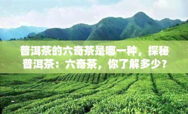 普洱茶的六奇茶是哪一种，探秘普洱茶：六奇茶，你了解多少？