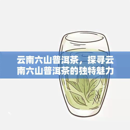 云南六山普洱茶，探寻云南六山普洱茶的独特魅力与历渊源