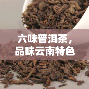 六味普洱茶，品味云南特色：探索六味普洱茶的魅力