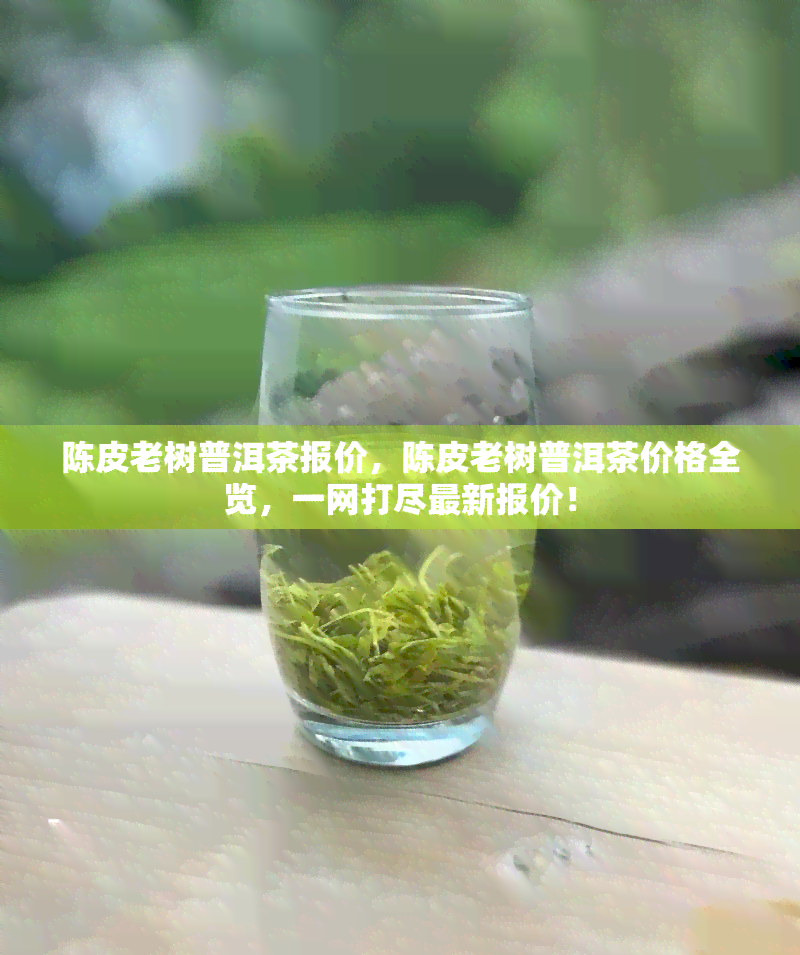 陈皮老树普洱茶报价，陈皮老树普洱茶价格全览，一网打尽最新报价！