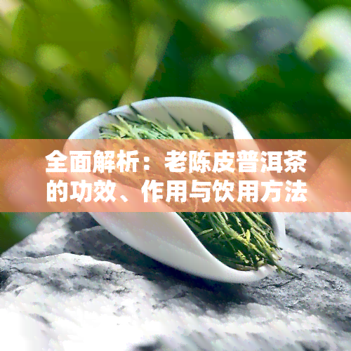 全面解析：老陈皮普洱茶的功效、作用与饮用方法