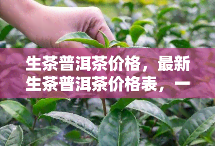 生茶普洱茶价格，最新生茶普洱茶价格表，一网打尽市场行情！