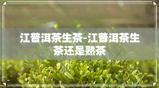 江普洱茶生茶-江普洱茶生茶还是熟茶