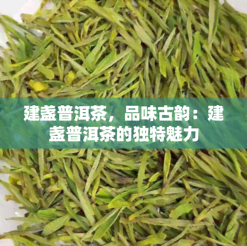 建盏普洱茶，品味古韵：建盏普洱茶的独特魅力