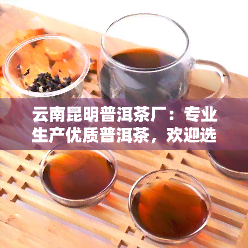 云南昆明普洱茶厂：专业生产优质普洱茶，欢迎选购！