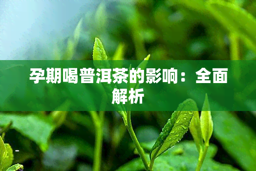 孕期喝普洱茶的影响：全面解析