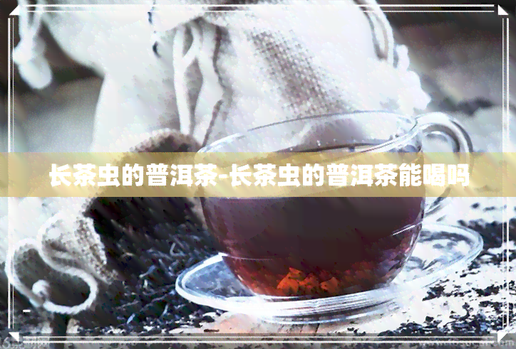 长茶虫的普洱茶-长茶虫的普洱茶能喝吗