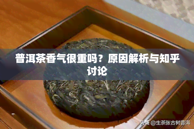 普洱茶香气很重吗？原因解析与知乎讨论