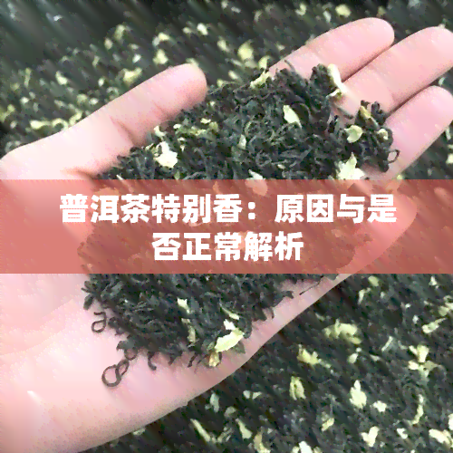 普洱茶特别香：原因与是否正常解析