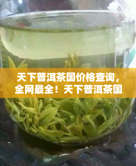 天下普洱茶国价格查询，全网最全！天下普洱茶国价格大查询