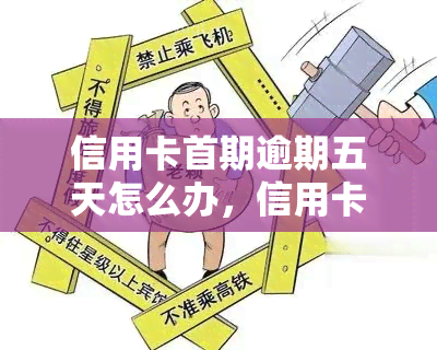 信用卡首期逾期五天怎么办，信用卡首期逾期五天：如何应对并避免进一步影响？