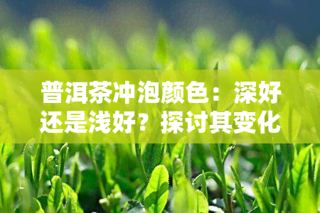 普洱茶冲泡颜色：深好还是浅好？探讨其变化与影响因素