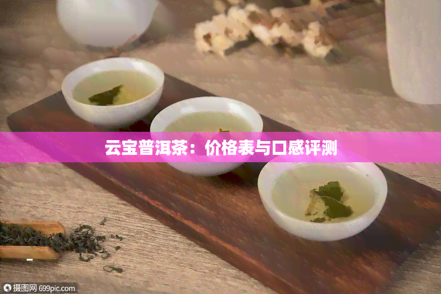 云宝普洱茶：价格表与口感评测