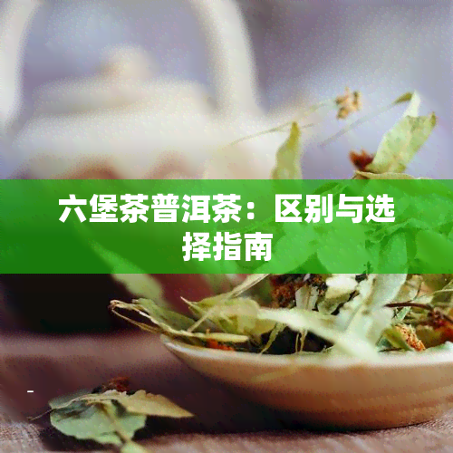 六堡茶普洱茶：区别与选择指南