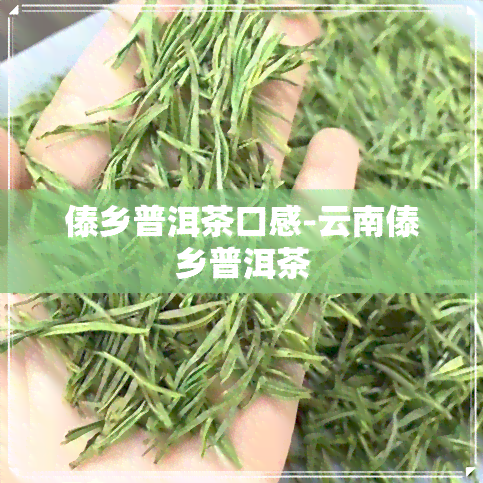 傣乡普洱茶口感-云南傣乡普洱茶