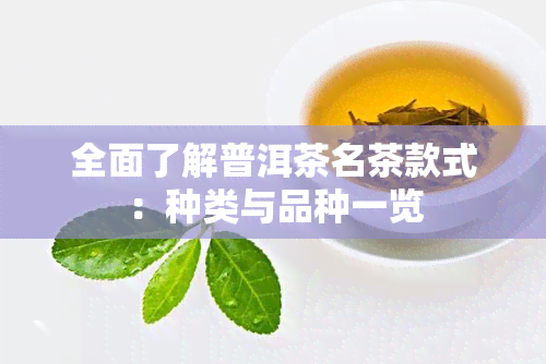 全面了解普洱茶名茶款式：种类与品种一览